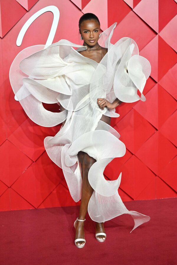 Lily McMenamy - Fashion Awards - 13