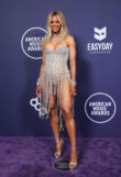 Highlights from the 2025 AMAs: The Bright and Shinys