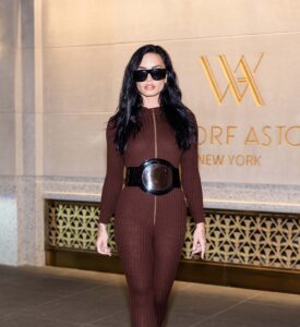 Demi Lovato Wore a Bodystocking