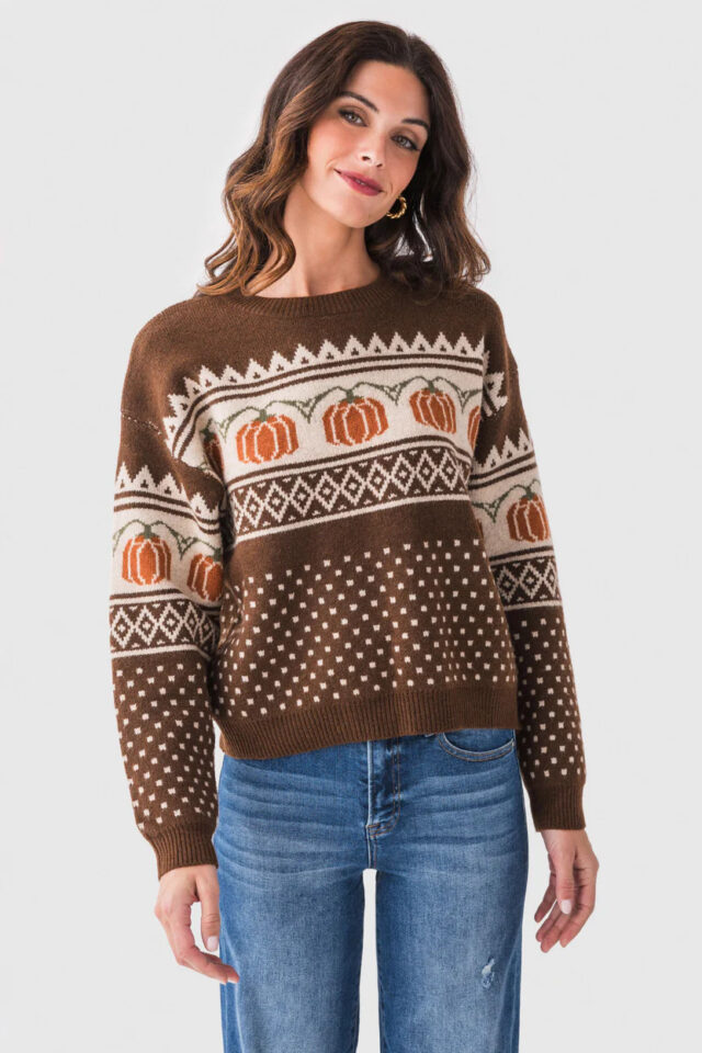 pumpkin sweater-1758649798