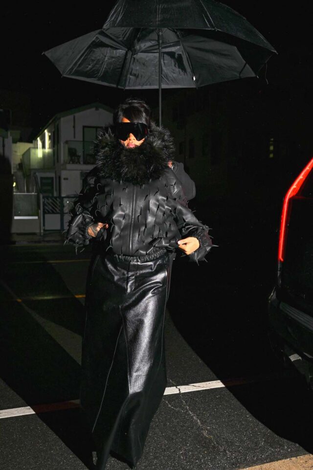 Celebrity Sightings In Los Angeles - November 20, 2025