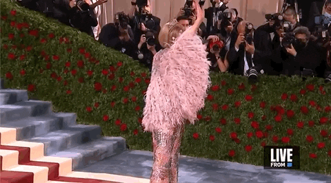anna wintour met gala-1766363791