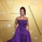 Anika Noni Rose Honored MLK In a Gorgeous Gown