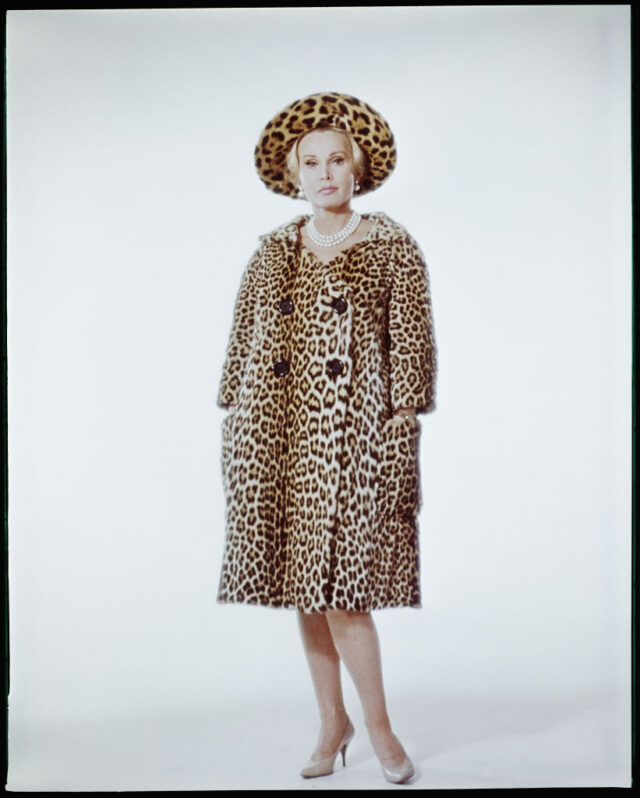 Portrait Of Zsa Zsa Gabor