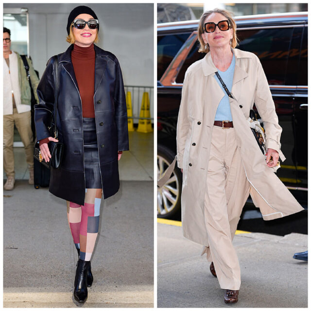 sharon stone promotes euphoria-1774909961