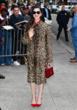 Anne Hathaway Is Wearing the Leopard Coat of My Dreams