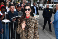 Anne Hathaway Is Wearing the Leopard Coat of My Dreams