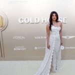 Let Us Not Be Neutral About the Gold Gala Neutrals