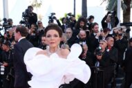 The Cannes Premiere Felt a Little Less Splashy This Year