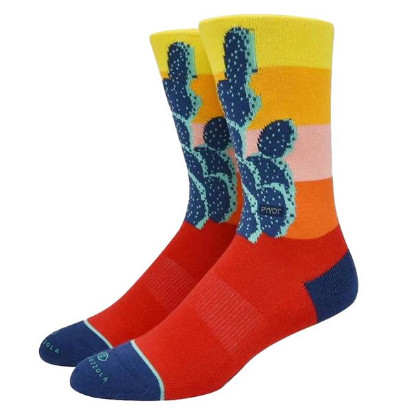 cactus socks-1778106149