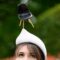 Behold 57 of the Most Delightful Hats of Royal Ascot!