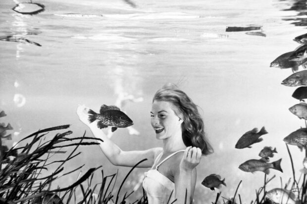 Submarine Shutterbugs
