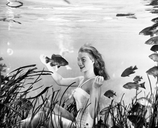 Submarine Shutterbugs