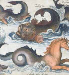 Seahorse and other imaginary sea creatures