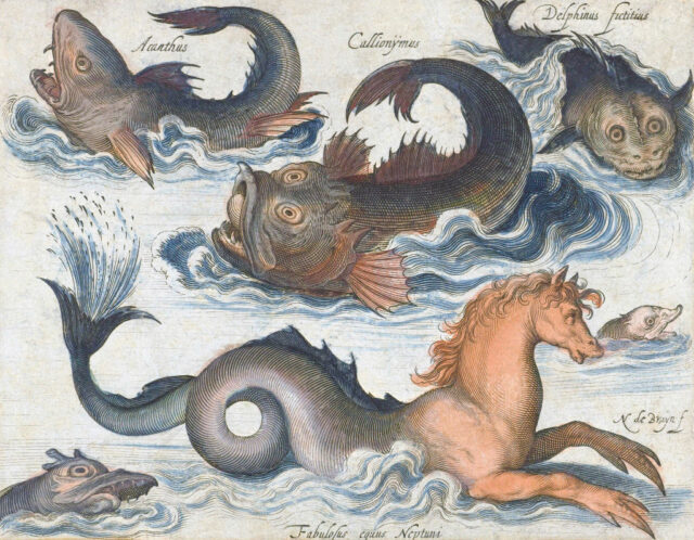 Seahorse and other imaginary sea creatures