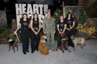 Brad Pitt Probably Hopes These Dogs Will Make You Like Him